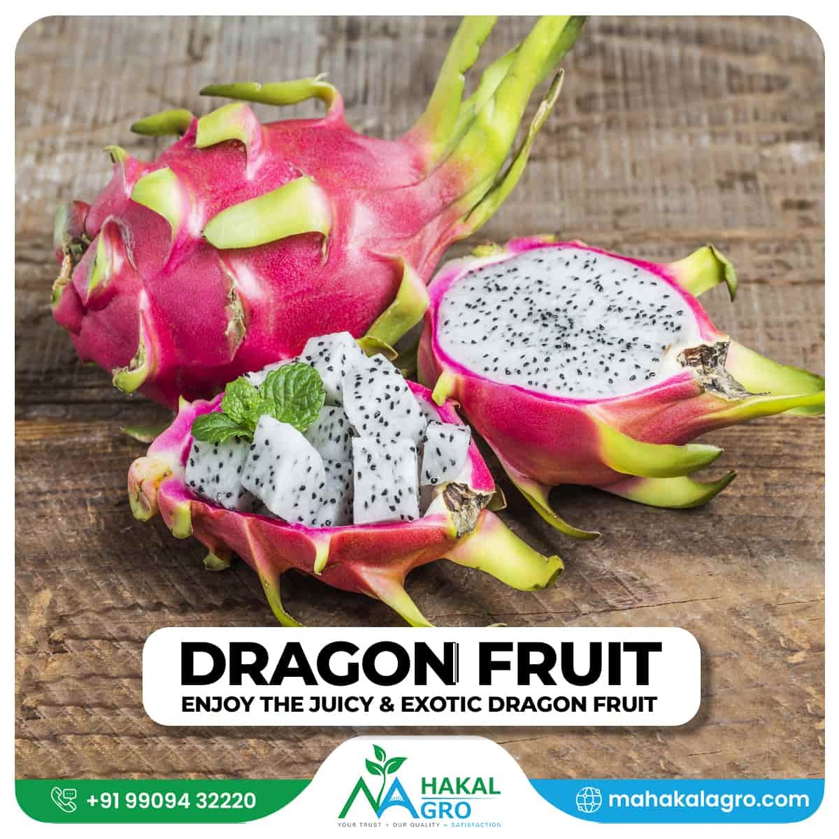 Dragon Fruit-min